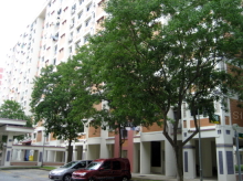 Blk 558 Pasir Ris Street 51 (Pasir Ris), HDB 4 Rooms #131662